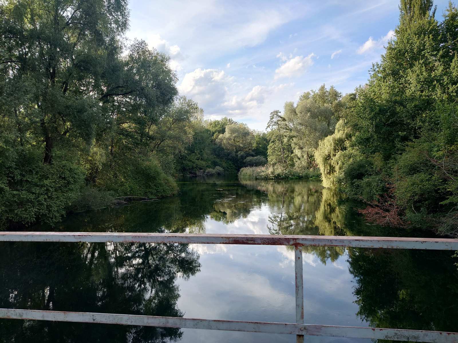 Fohlengartensee in den Altenheimer Rheinauen