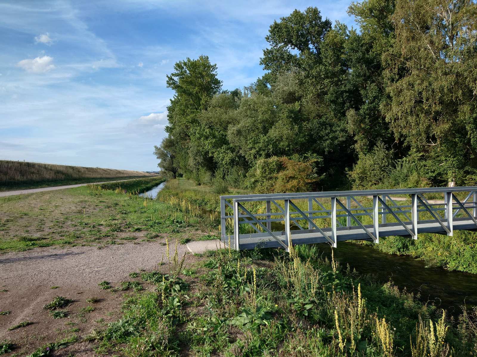 Brücke über einen Wasserlauf in den Rheinauen
