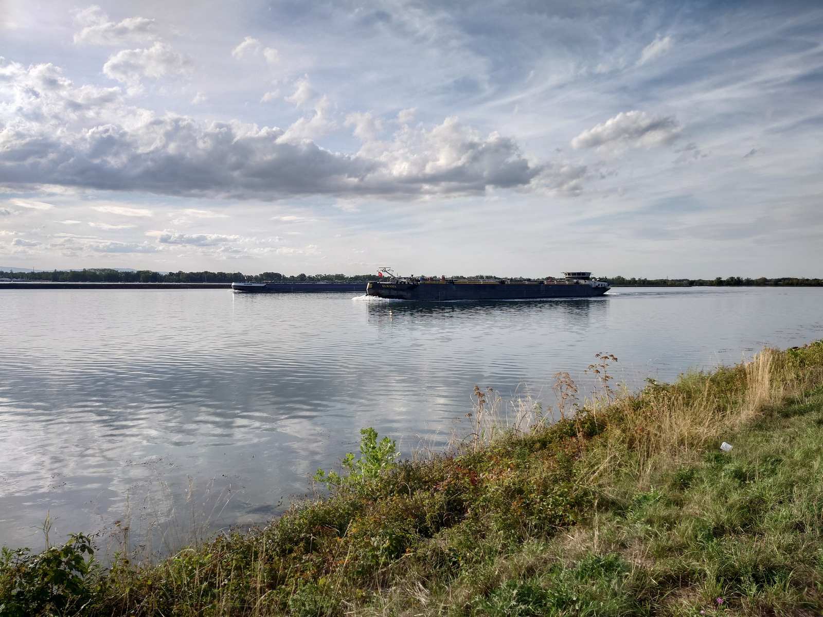 Rhein mit vorbeifahrendem Frachtschiff