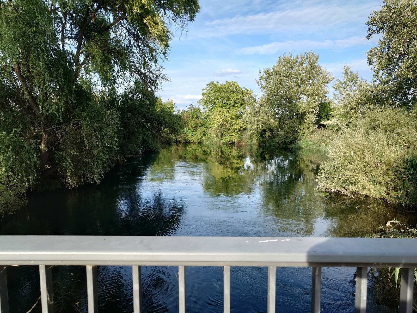 Naturnaher Wasserlauf zwischen Bäumen und Wiesen